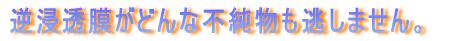 tZǂȕs܂B